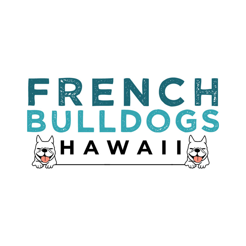 French Bulldogs Hawaii - Custom Business Website Design
